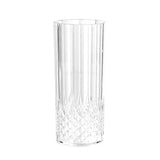 6 pieces Crystal Deco Tall Tumbler Clear Acrylic Tumbler 390ml Lemon & Lime