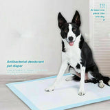400pcs Puppy Dog Pet Training Pads Cat Toilet 60 x 60cm Super Absorbent Indoor Disposable