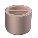 Bentgo 560mL Stainless Steel Insulated Lunch Box - Rose Gold