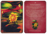 Buddhism Oracle Cards