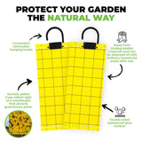 5PCE Traps Aphid Glue Safe Effective Greenhouse Garden White Flies Leaf Miner