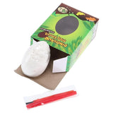 2PK Dinosaur Egg Fossil Excavation Kit Dig Treasures Assorted