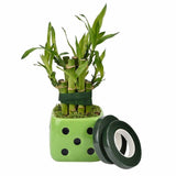 2 Rolls Paper Florist Eco Floral Tape Wedding Bouquet Stem Wrap Supplies DIY