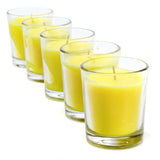 5PCE Citronella Scented Tealight Candles In Glass Holders Garden Greens 8hr 10g