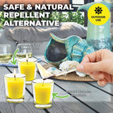 5PCE Citronella Scented Tealight Candles In Glass Holders Garden Greens 8hr 10g