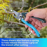 Pruning Shears Plant Scissors Trim Fruit Tree Snips Branch Garden Secateurs 20cm