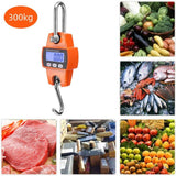Mini Portable Crane Scale 300kg 0.1kg LCD Digital Electronic Hook Hanging Scale