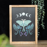 Luna Moth Wooden Framed Wall Art Decor Home Print Mystical Gifts