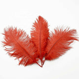5pcs Ostrich Feather 25-30cm DIY Crafts Event Feathers Wedding Party Decor -Red
