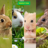 2PCE Pet Basic Hanging Water Dispenser Rabbit Guinea Pig 600ml