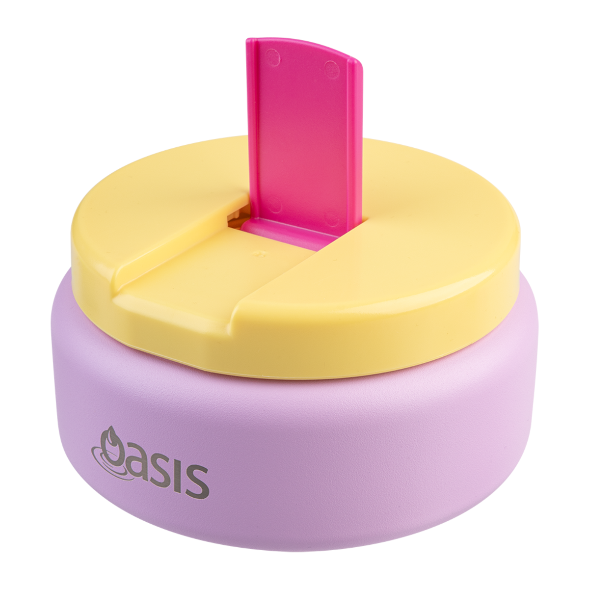 Oasis Stainless Steel Insulated Food Flask Lid Container 230ml Bubbleg ...
