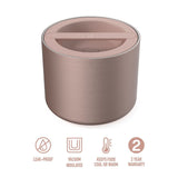 Bentgo 560mL Stainless Steel Insulated Lunch Box - Rose Gold