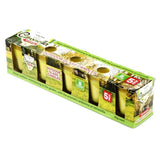 5PCE Citronella Scented Tealight Candles In Glass Holders Garden Greens 8hr 10g