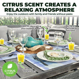 5PCE Citronella Scented Tealight Candles In Glass Holders Garden Greens 8hr 10g