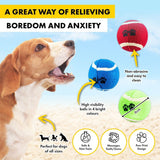 3PK Tennis Balls Pet Basic Brightly Coloured Paw Print Design Fetch 6cm Assorted