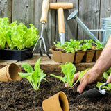 100x Biodegradable Seedling Pots Seed Garden Pots Cardboard Nursery Plant Labels