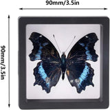 Home décor and gift-worthy items