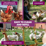 1PCE Poultry Feeder Pellet Dispenser 3KG Carry Handle Pet Basic  27 x 26cm