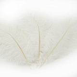 5pcs Ostrich Feather 25-30cm DIY Crafts Event Feathers Wedding Party Decor White