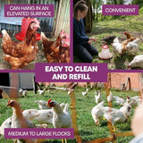 2PK Pet Basic Chicken Water Dispenser 2.5L Large EasyRefill Carry Handle 22x24cm