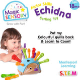 Magic Sensory Echidna Hedgehog Fine Motor Skills Toy 9350375016665