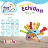 Magic Sensory Echidna Hedgehog Fine Motor Skills Toy 9350375016665