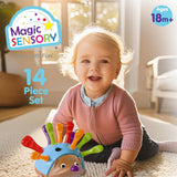 Magic Sensory Echidna Hedgehog Fine Motor Skills Toy 9350375016665
