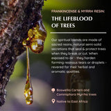 Frankincense & Myrrh Natural Mist 100ml Aromafume