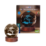 Dolphin 3D Crystal Ball Lamp With LED Light Base USB Powered