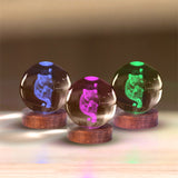 Koala 3D Crystal Ball Night Lamp with Warm LED Base