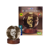 Koala 3D Crystal Ball Night Lamp with Warm LED Base