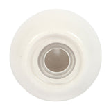 Clam Shell Salt and Pepper Shakers