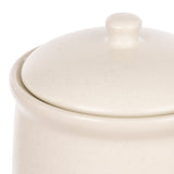 https://cdn.shopify.com/s/files/1/0775/1886/4600/files/g0kdfzzr3jahjlwop8fi.jpg?v=1773229592