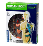 Thames & Kosmos Human Body Anatomy Model