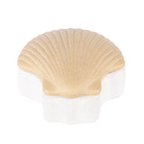 Emporium Zuri Seashell Jewellery Box Coastal Decor White Natural