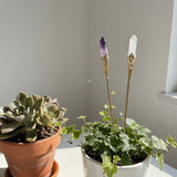 2pcs Crystal Plant Stakes White Quartz & Amethyst Flower Pot and Plant Stand Decorative Sticks