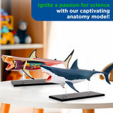 Thames & Kosmos Great White Shark Model Kit