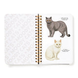 https://cdn.shopify.com/s/files/1/0775/1886/4600/files/sk9odbxyoguefhemekim.jpg?v=1776775576
