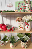 Strawberry Field Planter Green & Red 12cm