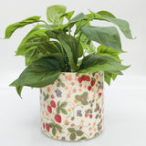 Strawberry Field Planter Green & Red 14cm