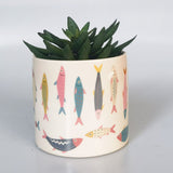 Urban Products Sardine Planter Colourful 14cm