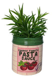 Pasta Sauce Planter Red & Pink 14cm