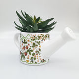 Strawberry Fields Watering Can Planter Red & Green 25cm