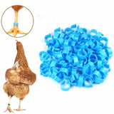 20pcs Birds Poultry Leg Rings Identification Bands Chicken Tags Ring 20mm Colour