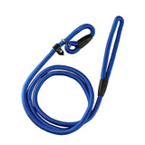 Blue Slip Puppy Lead Nylon Rope Dog Training Correction Leash Pet 6mm