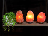 Himalayan Salt Lamp Natural Pink Crystal Rock Table Night Light Glow  1-2Kg