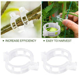 Veggie Garden Plant Support Clips for Trellis Twine Tomato Grafting Hanging Vine