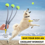 2 Sets Pet Dog Tennis Ball Launcher Chucker Thrower Long w/Ball Interactive 50cm