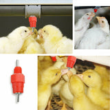 50x Water Nipple Valves Auto Drinker Waterer Feeder Poultry Chicken Duck Bird