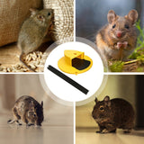 2X Mouse Trap Flip N Slide Bucket Lid Reusable Rat Catcher Killer with Ladder